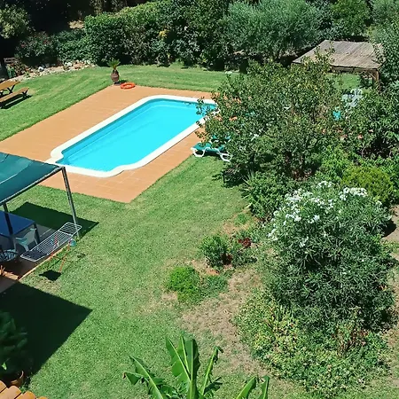 Gori Apartment