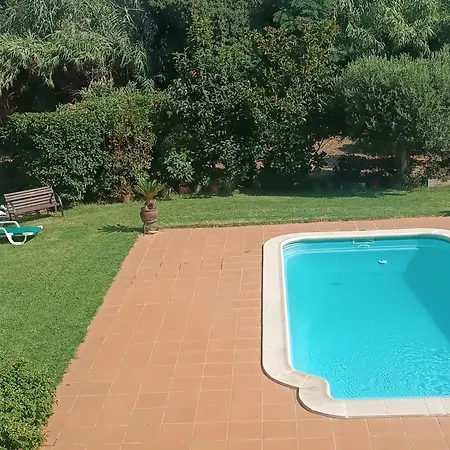 Gori